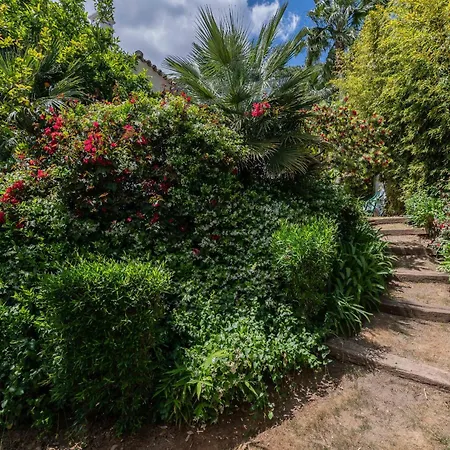 Andaluza Villa *
